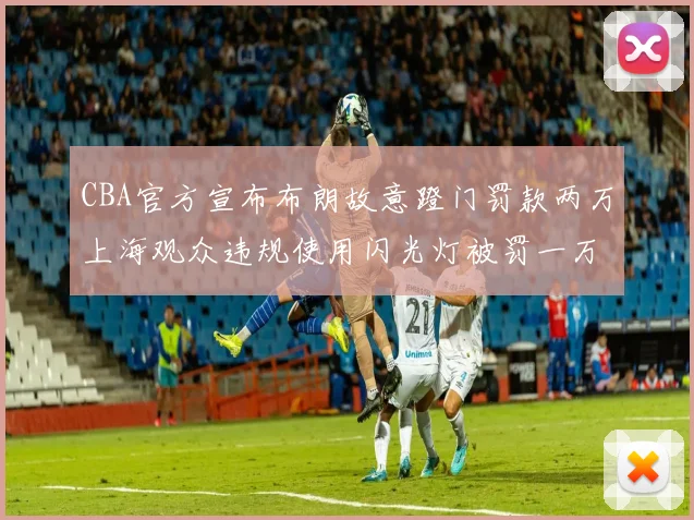 CBA官方宣布布朗故意蹬门罚款两万上海观众违规使用闪光灯被罚一万