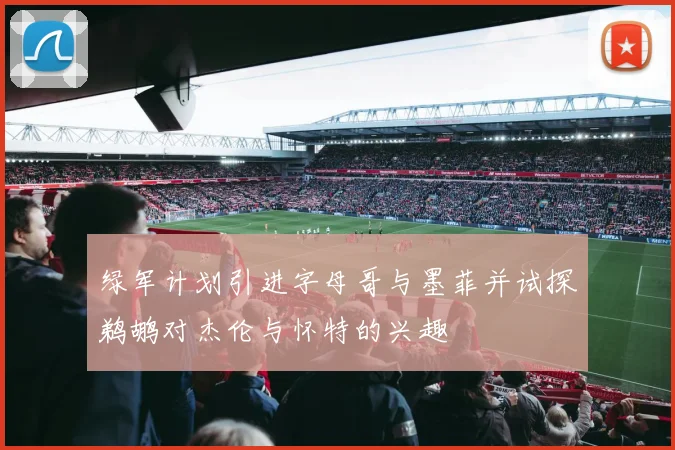 绿军计划引进字母哥与墨菲并试探鹈鹕对杰伦与怀特的兴趣
